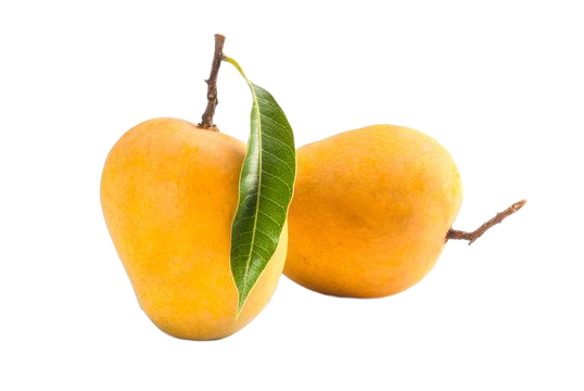 Alphonso mangoes from the shared slide deck